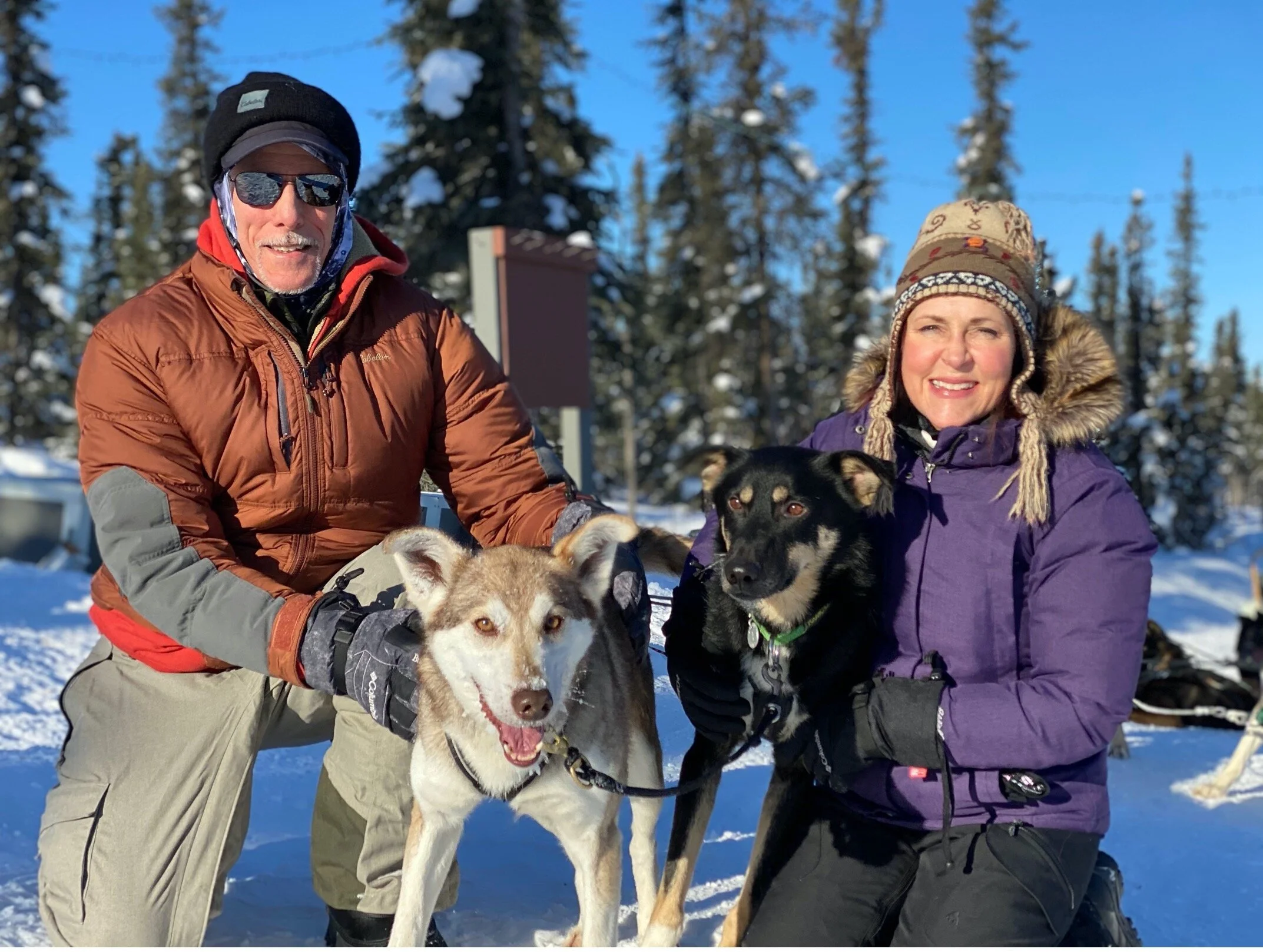 Leadership Lessons From a Sled Dog Team