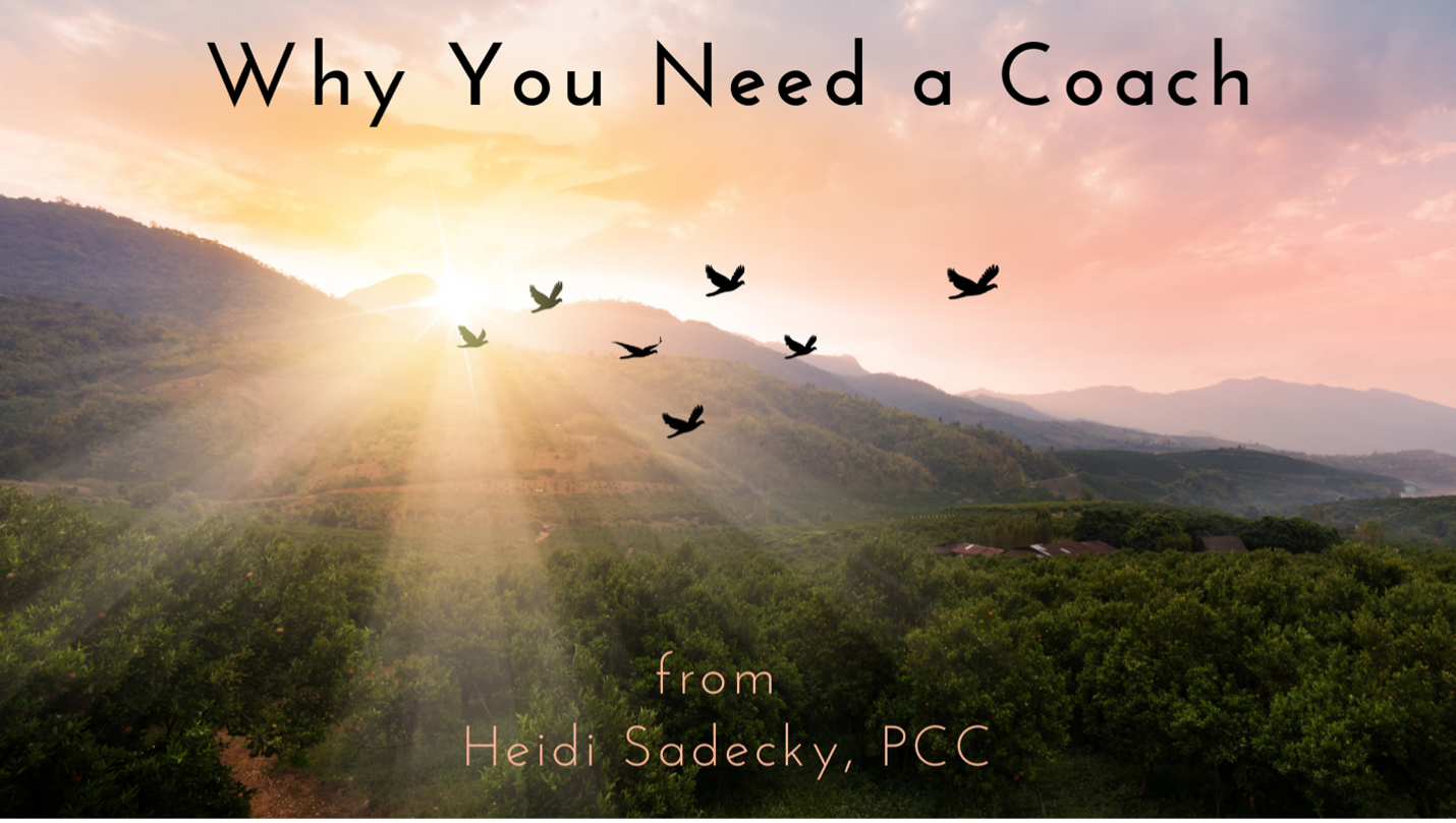 Why You Need a Coach